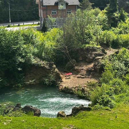 Apart Cobras Jajce Εξωτερικό φωτογραφία